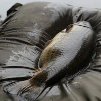 Thinking Anglers Unhooking Mat
